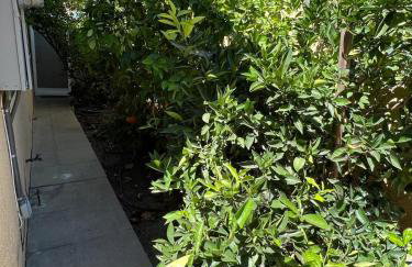 Lakewood beautiful 2 bedrooms with huge backyard - Photo 40