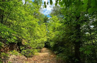 Tiny House, WIFI,Hot tub,Secluded - Foto 16