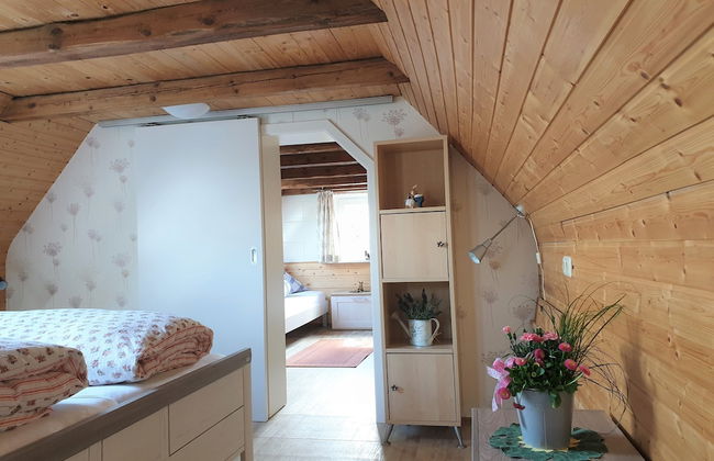 Ferienhof Cohrs - Ferienhäuser - Photo 3