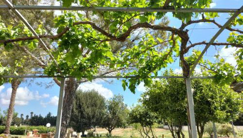 Villa Minioti Apartment A - Photo 2