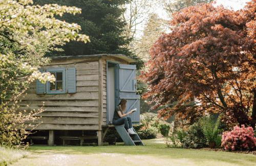 Ferienhof Werner - Foto 17