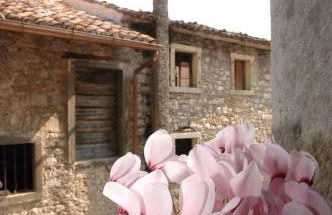 Albergo Diffuso Valcellina e Val Vajont in Erto - Foto 4