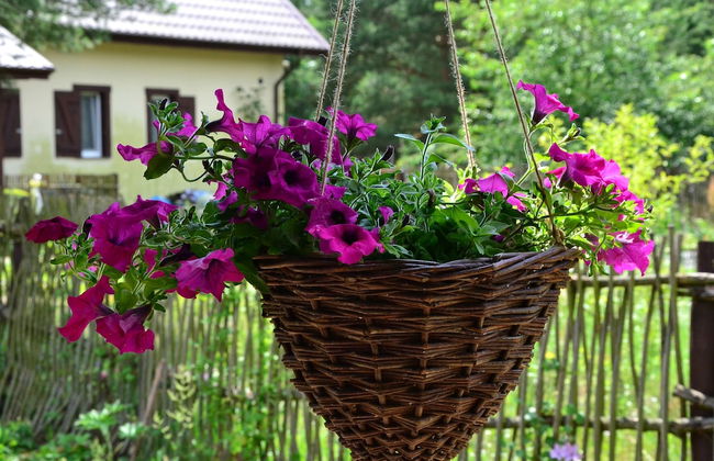 tuŻur Domki Nad Potokiem - Foto 21