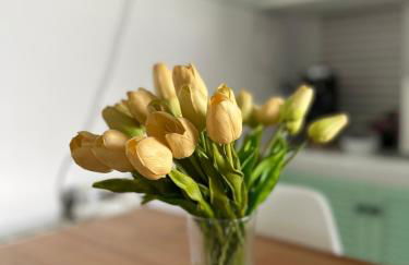 Your holidays apartment - Foto 16