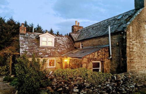 Cosy, Coastal Retreat with a Large Garden - Photo 22