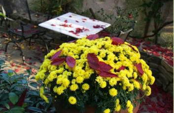 Mansion Viglatoras - Foto 16