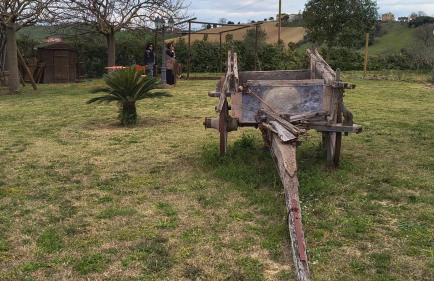 Il Casale dello chef - Foto 2