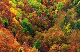 Casita Pelopin - Photo 1