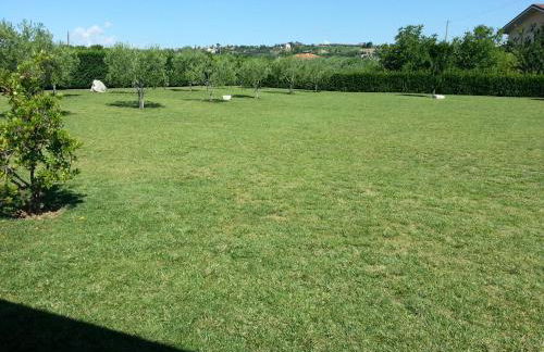 Domus Aurea - Foto 20