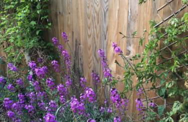 Sea Song Cottage - Foto 37