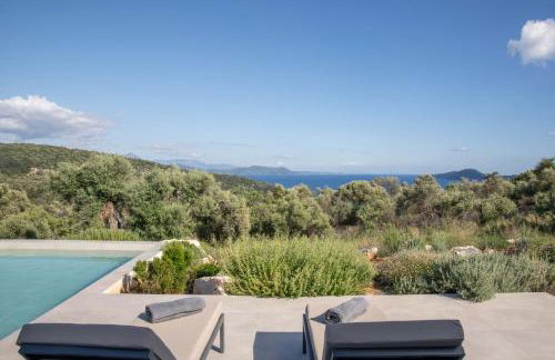 Mesogi Villas, brand new modern, stylish villas, private pool, seaviews - Photo 4