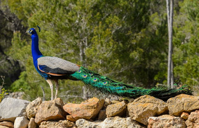 Agroturismo Can Prats - Foto 53