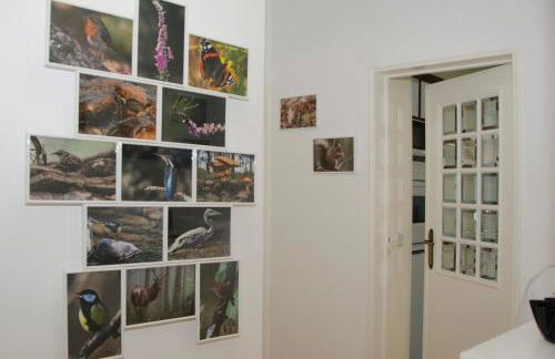 Casa do Relógio - Foto 9