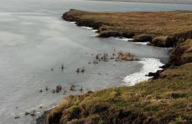 Agroturystyka Polana Harmonii - Foto 45