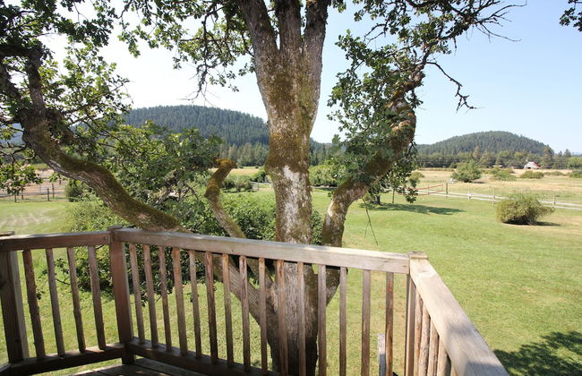 Out 'N' About Treehouse Treesort - Foto 51