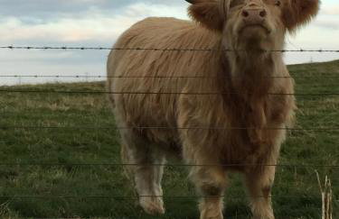 Cameron apartment Loch Ness - Foto 40