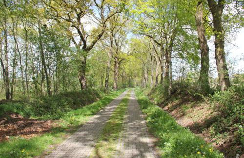 Friedeburga - Photo 31