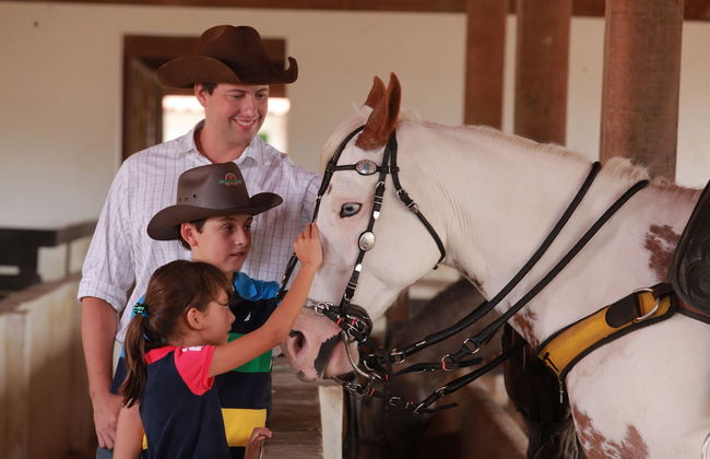 Fazenda Monte Castelo - Foto 12