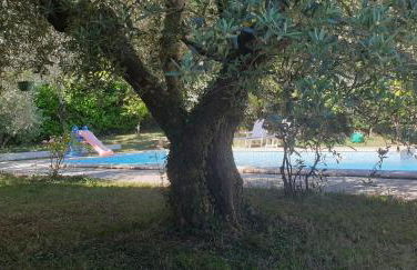 location saisonnière - Foto 22