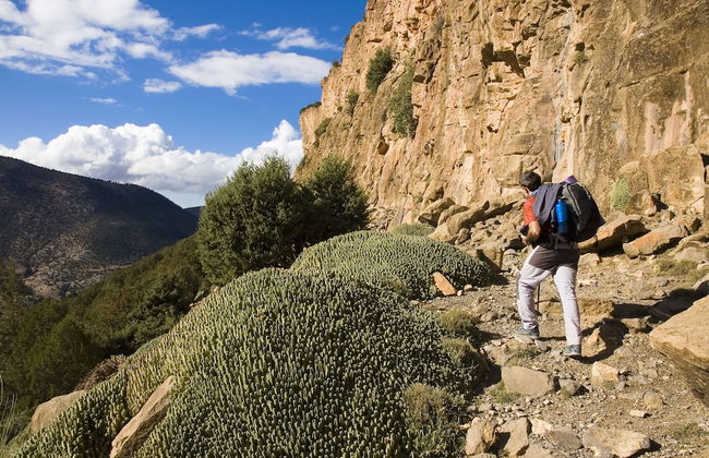 Kasbah Africa - Foto 46