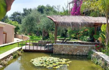 Filoxenia Olive Garden luxury villas and suites - Foto 73