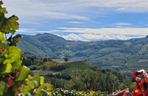 Appartamento Dolcetto in Cascina Marenco Langhe Country House - Foto 3