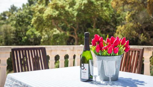 Casa Martini - Photo 3