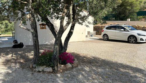 Maison Provençale - Photo 4