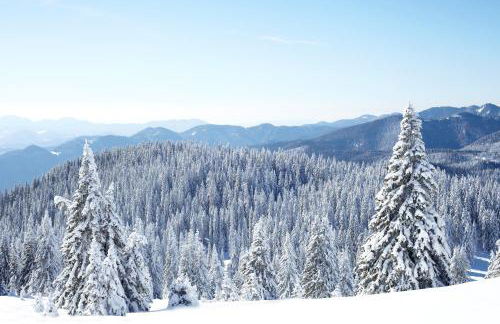 Goélia Les Chalets de Belledonne - Foto 13