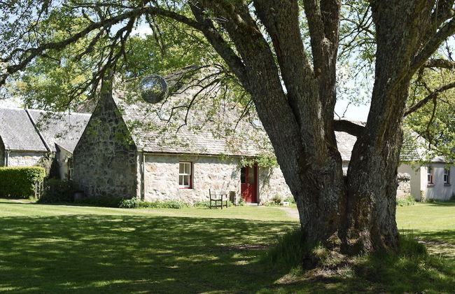 The Dell of Abernethy - Photo 73