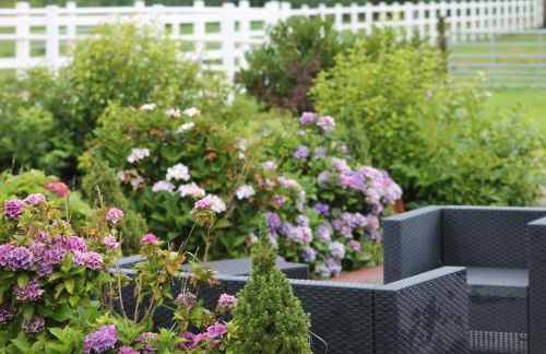 Balzwiekje Auszeit auf Pferdehof in Ostfriesland - Foto 11