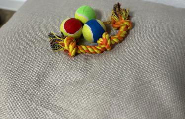 Hinterhaus am Stadtrand Chemnitz - Foto 17