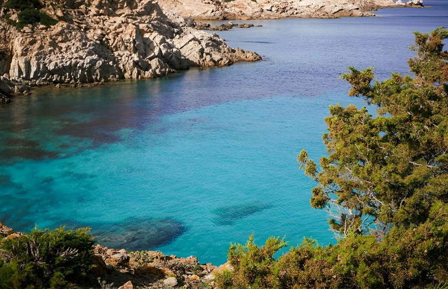 Asinara National Park Day Trip - Photo 7