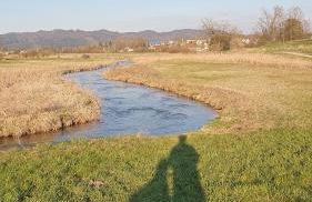 StayZen Holz & Hirsch Deluxe Hideaway zentral mit Parkplatz - Foto 50