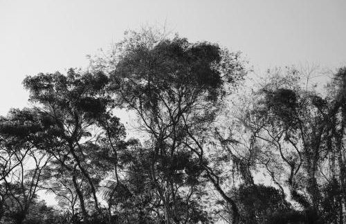 Casa em penedo com cachoeira - Photo 38