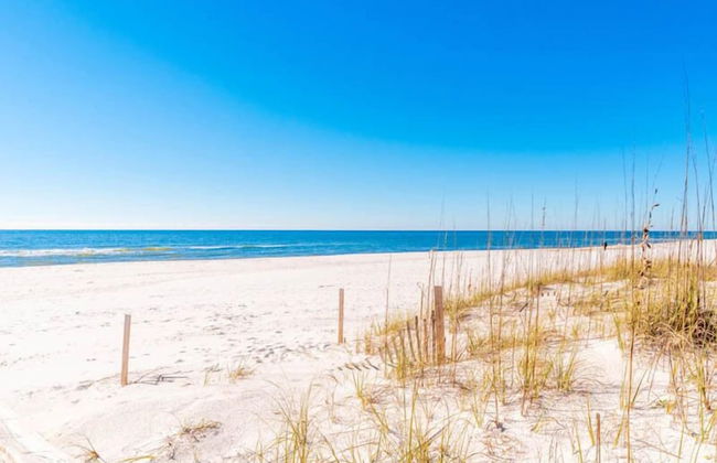 Spinnaker #2A - Foto 20