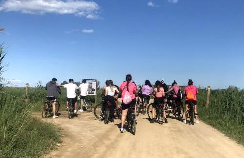 Casa Delta - Foto 30