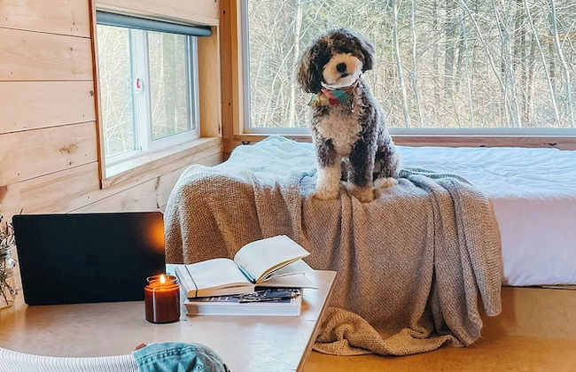 Postcard Cabins Lake Hartwell, Outdoor Collection by Marriott Bonvoy - Foto 2