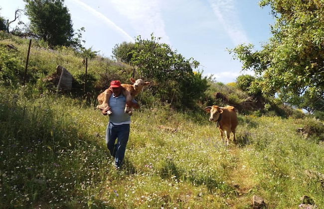 Fontanarossa - Foto 14