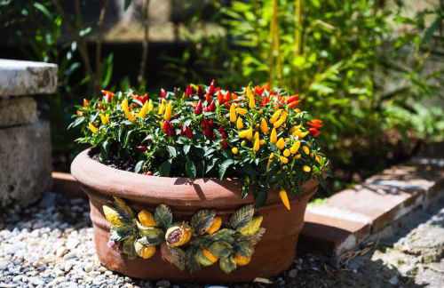 Lovely cosy villa, jacuzzi, nature - Foto 79