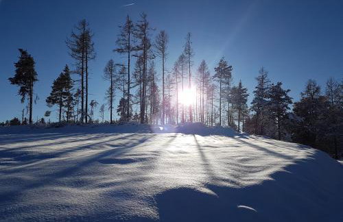 Appartement dans maison Entre Savines et Embrun - Foto 15