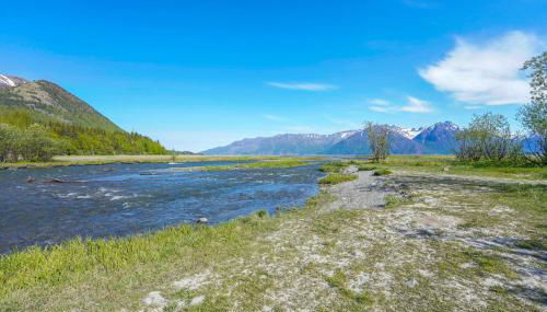 Historic Century-Old Cabin in Downtown Hope - Foto 2