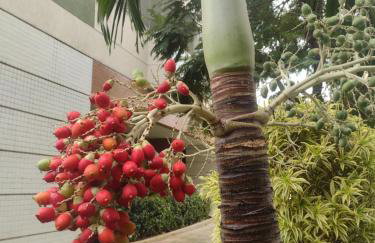 Barra Rio Centro - Foto 24