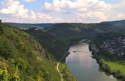 Mosel Ausblick - Foto 42