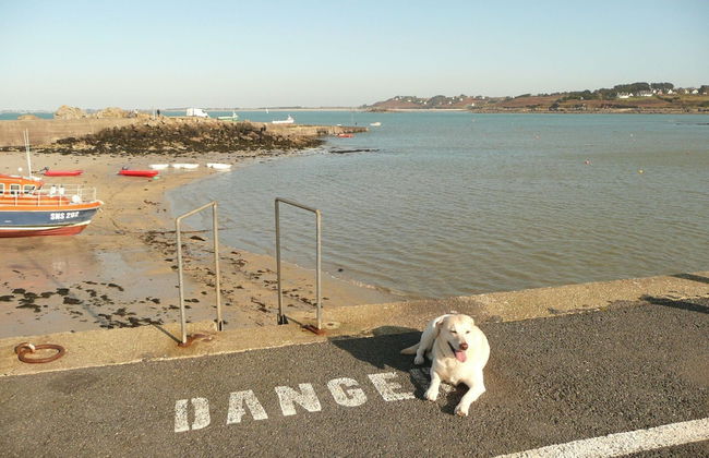 Granite Stone House With Fireplace, Plouguerneau - Foto 29
