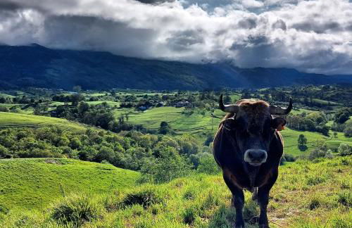 Precioso Ático con Vistas en El Capricho de Colombres, Asturias - Foto 24