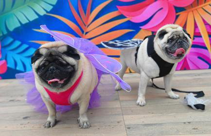 Eco Resort Pedra Bonita - Foto 67