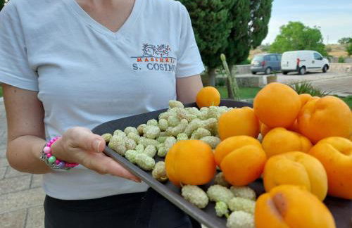 Masseria San Cosimo - Foto 39