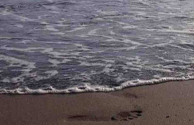 Rajana Bungalow - Ulcinj - Foto 16