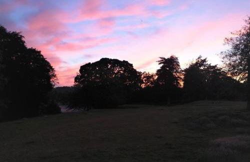 Auburn Cottage - Photo 40